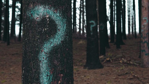 These are the four questions Y Combinator uses to identify the next unicorn
