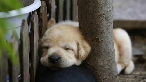 How to put your mind—as well as your body—to sleep