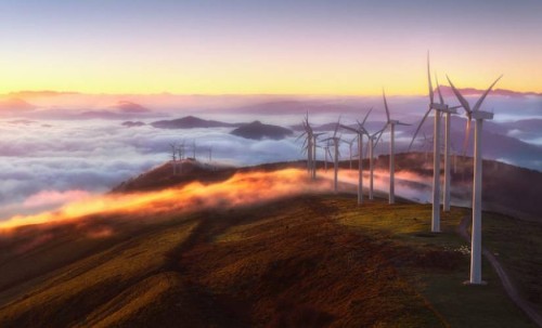 What is IoT's disruptive role in the rise of sustaintech?