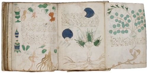 Decrypting the most mysterious book in the world