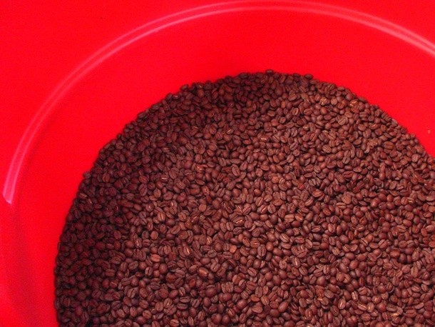 What Is Coffee's Carbon Footprint?