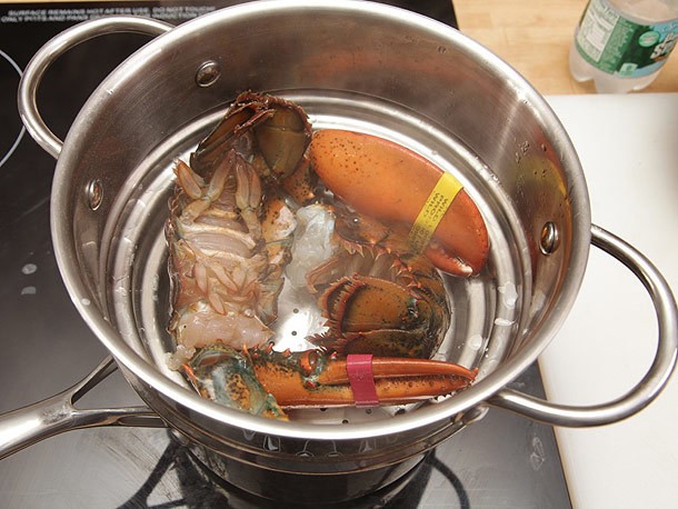 The Food Lab: How To Make Lobster, Bacon, Lettuce, Avocado, and Tomato Sandwiches