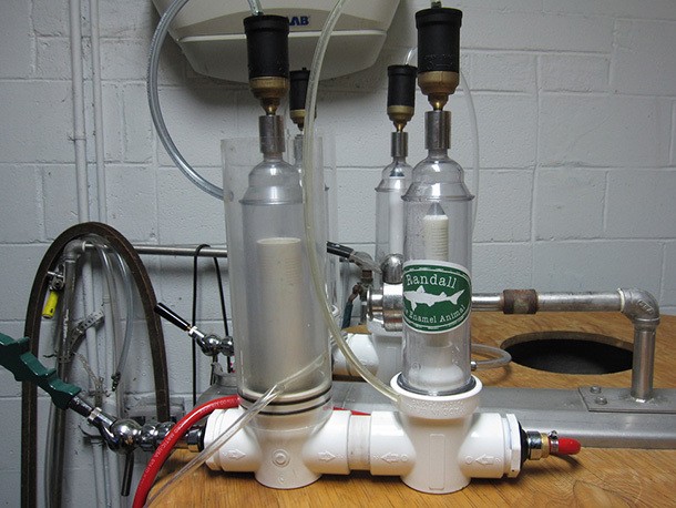 Use A French Press to Add Flavor to Your Beer