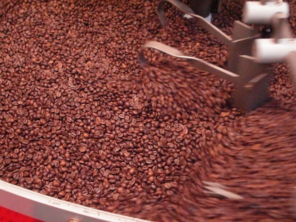 Stimulating Work: 5 Careers in Specialty Coffee