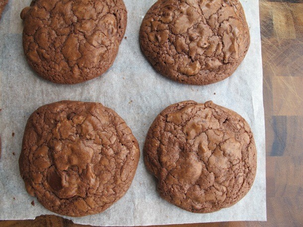 Chocolate Chip Brownie Cookies Recipe