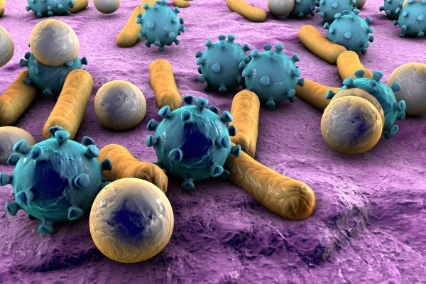 Oxford study shows how tiny bacteria ‘wind farms’ could power electronics
