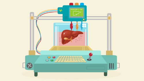 Implantable 3D-printed organs could be coming sooner than you think