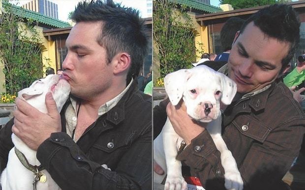 'I gotcha covered' - owner imagines his dog's last thoughts