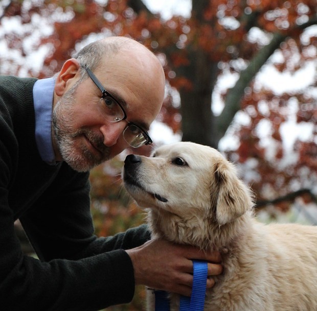 Anti-ageing dog trial could see pets live for an extra four years