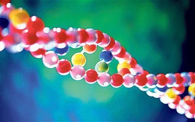 The latest 'gay gene' study gives no comfort to homophobes