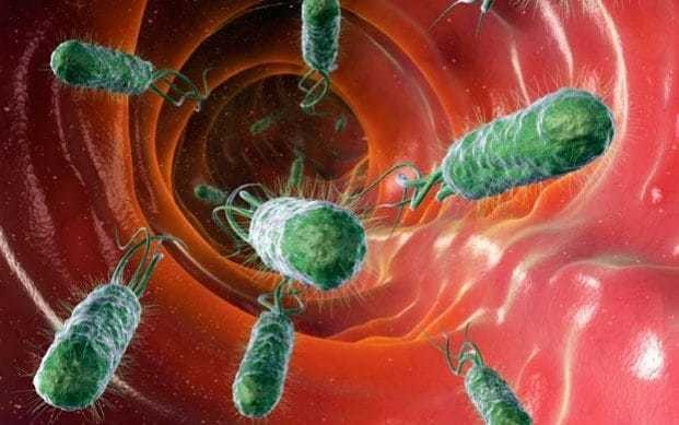 Living cells ‘hacked’ and hijacked by MIT