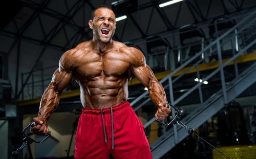 German Volume Training: the best training regime for increasing muscle size