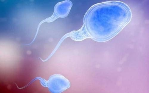 Sperm of infertile men is healthy before it begins journey out of body, major breakthrough finds