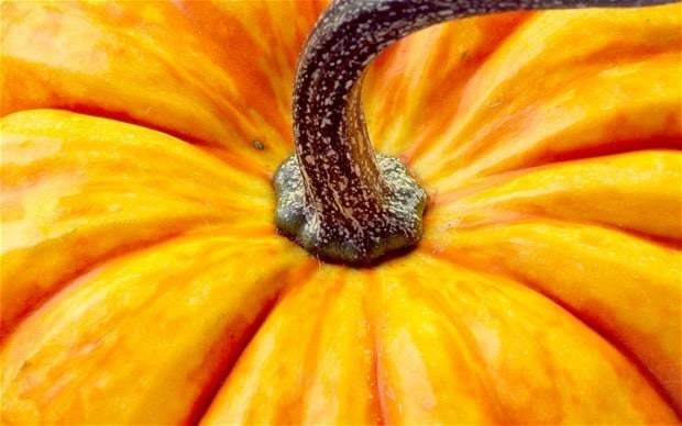 Pumpkin laksa recipe