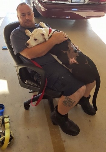 Puppy severely burned in house fire has recovered and is now trained as a firefighter
