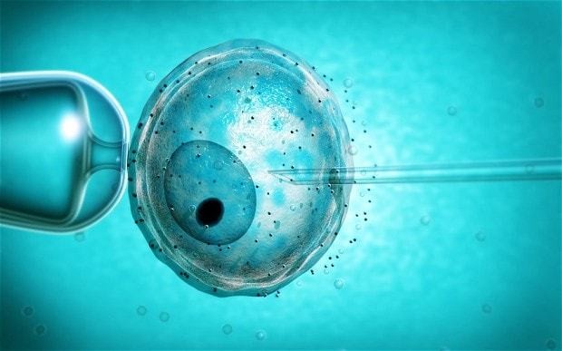 Scientists accuse Church of ignorance over three parent babies