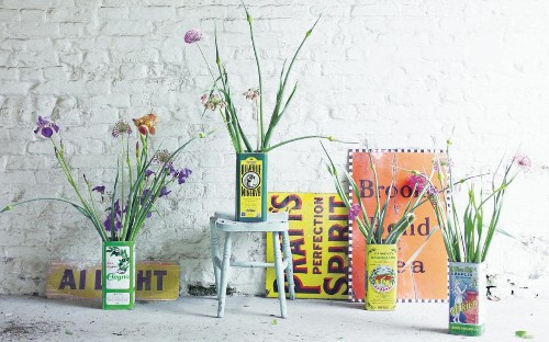 How to use houseplants to decorate your home