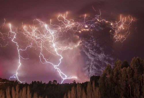 Wildlife Photographer of the Year 2014