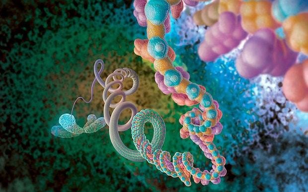 New test can predict cancer up to 13 years before disease develops
