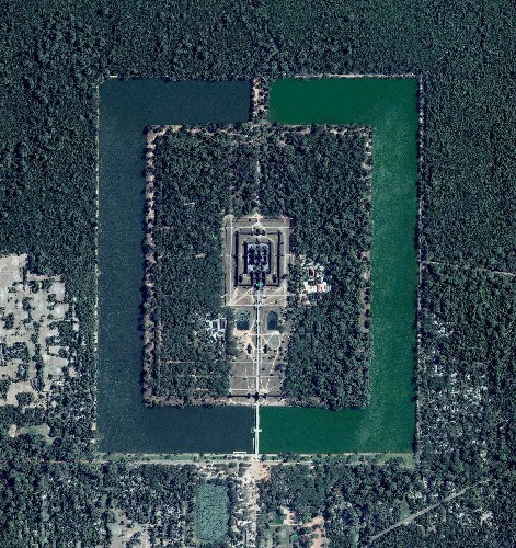 14 photographs that reveal the beautiful symmetry of life on Earth