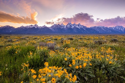 23 photographs that prove America is already great