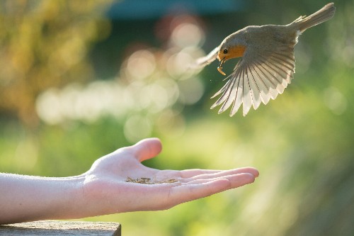 Animal pictures of the week: 13 May 2016