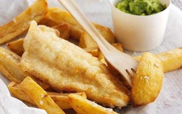 Squid and chips to replace cod and chips on dinner tables because of warming sea temperatures, scientists say