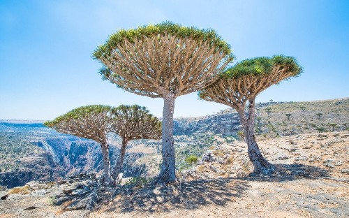 10 curious places you must visit in your lifetime, according to the world's most travelled person