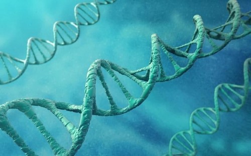 New era of 'cut and paste' humans close as man injected with genetically-edited blood