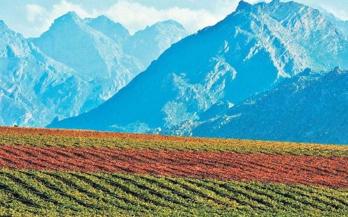 25 reasons to visit South Africa right now