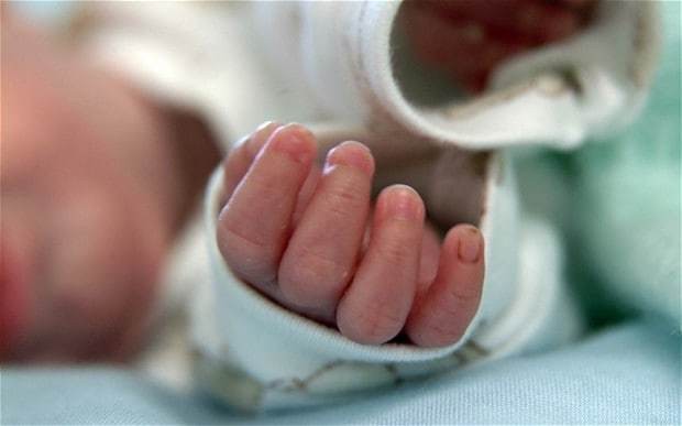 Heatwaves and cold snaps make babies shorter and smaller, scientists find