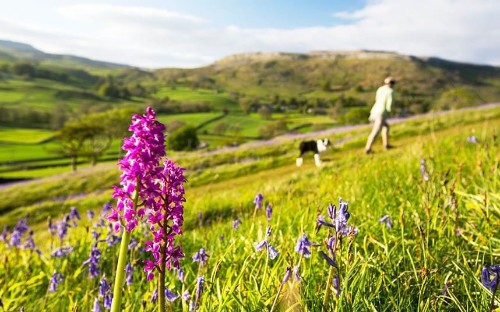 Britain's 25 best spring walks