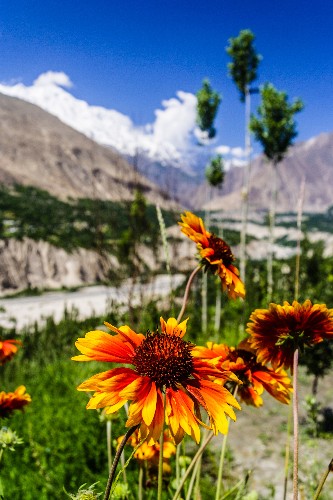 26 beautiful photos you won't believe were taken in Pakistan