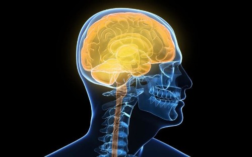 7 everyday ways you are ruining your IQ