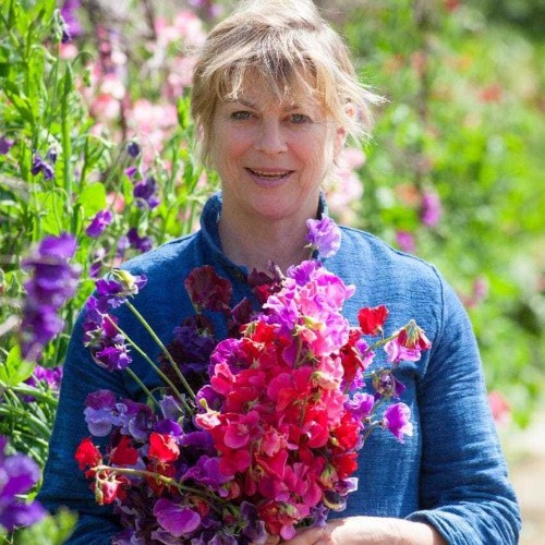 The best sweet peas for cutting
