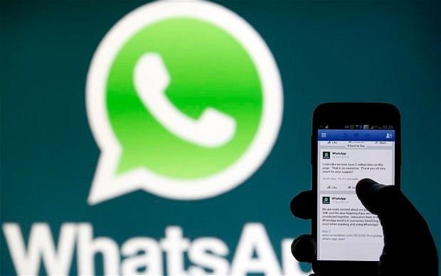 Google did not bid for WhatsApp