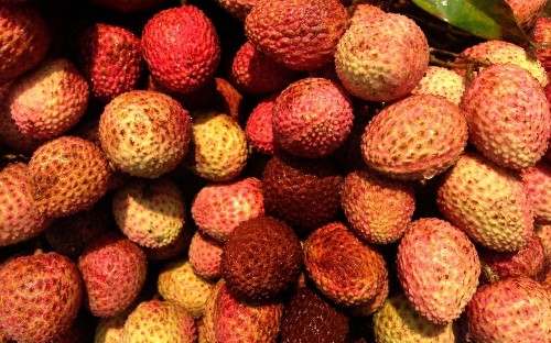 At least 31 children in India die from brain disease linked with lychee toxin