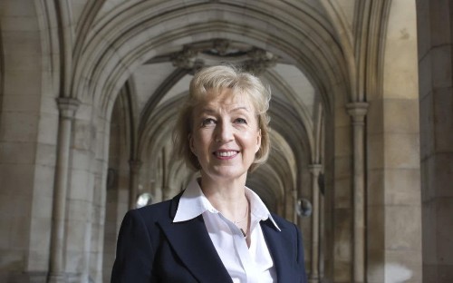 'I've been under attack, it's been shattering': Andrea Leadsom apologises to Theresa May over motherhood comments and admits furore has left her hurt