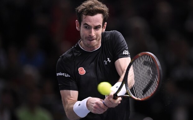 Andy Murray beats David Ferrer in straight sets as Scot lines up Paris Masters final with Novak Djokovic