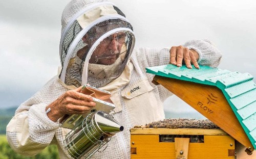 'Suddenly it was total mayhem': Australian inventors celebrate success of revolutionary bee hive