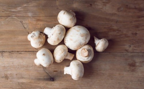 How to grow delicious fresh mushrooms on a windowsill or a log