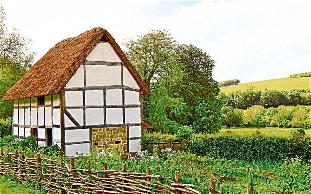 Weeds and wisdom in the Middle Ages