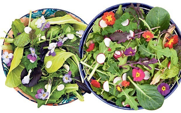 Super bowls: how to create a delicious organic salad