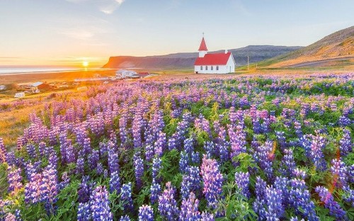 29 reasons why you should visit Iceland this spring