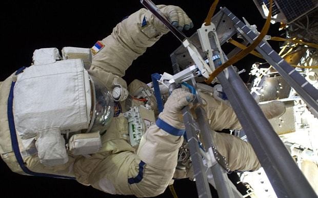 Sea plankton 'found living outside International Space Station'