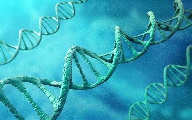 First genetically modified humans could exist within two years