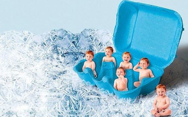 Delaying motherhood by freezing eggs could harm birth chances