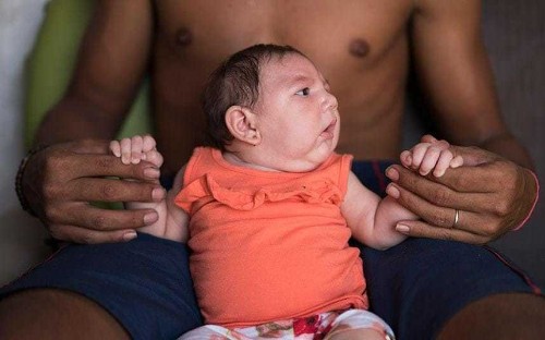 Climate change could bring Zika and malaria to Britain, the Department of Health fears