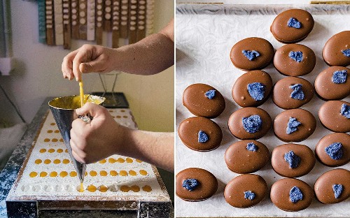 Hazelnut ganache pastry tarts