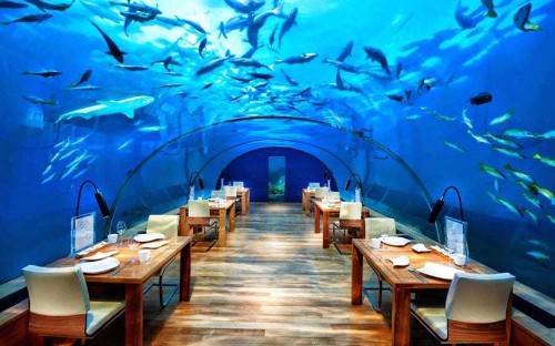 The world’s most incredible underwater restaurants